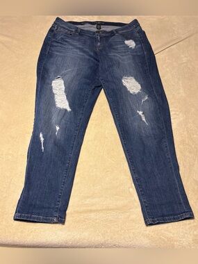 Lane Bryant Distressed Medium Blue Boyfriend Jeans
